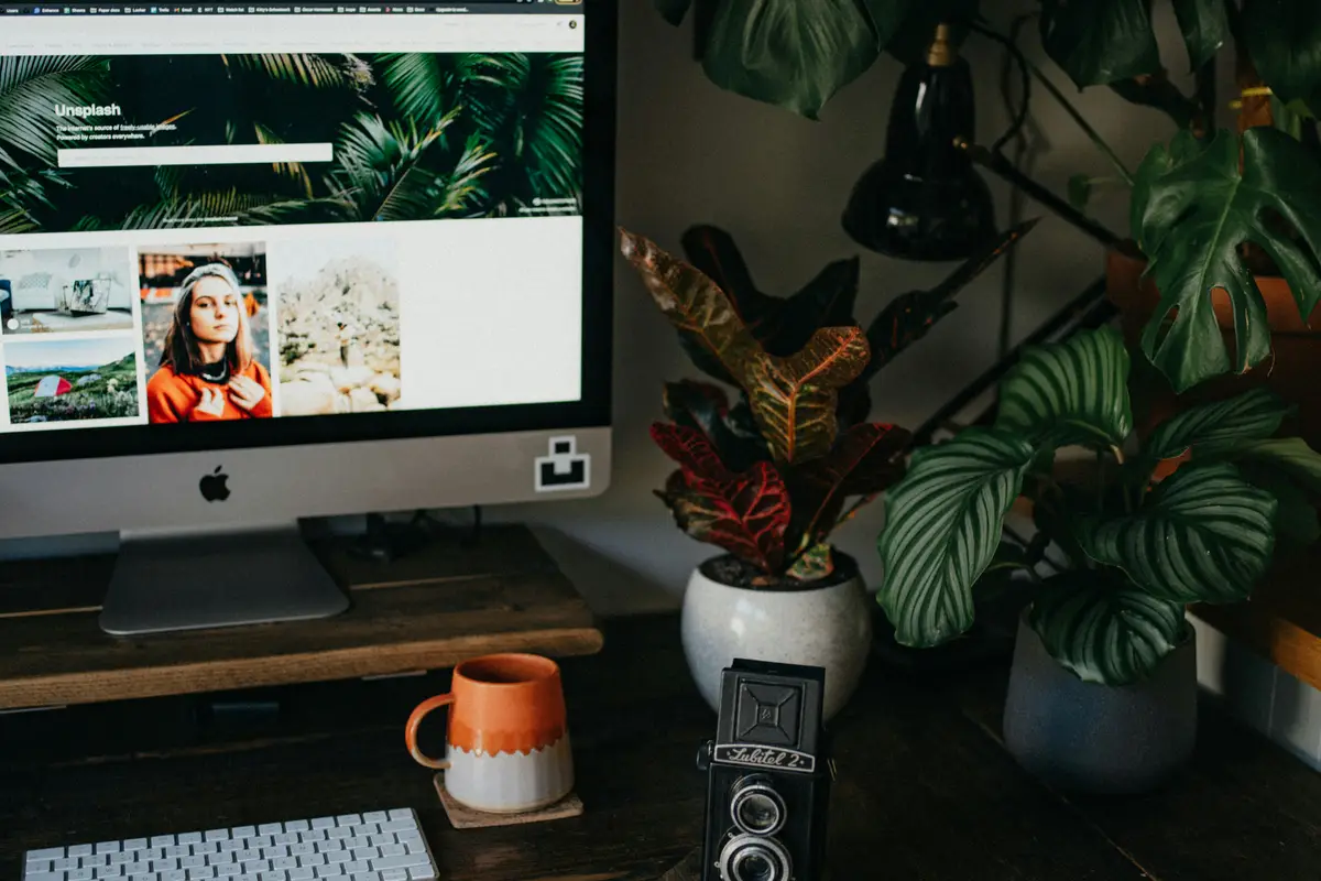 A story from life: How we recovered a domain after 3 months of fighting